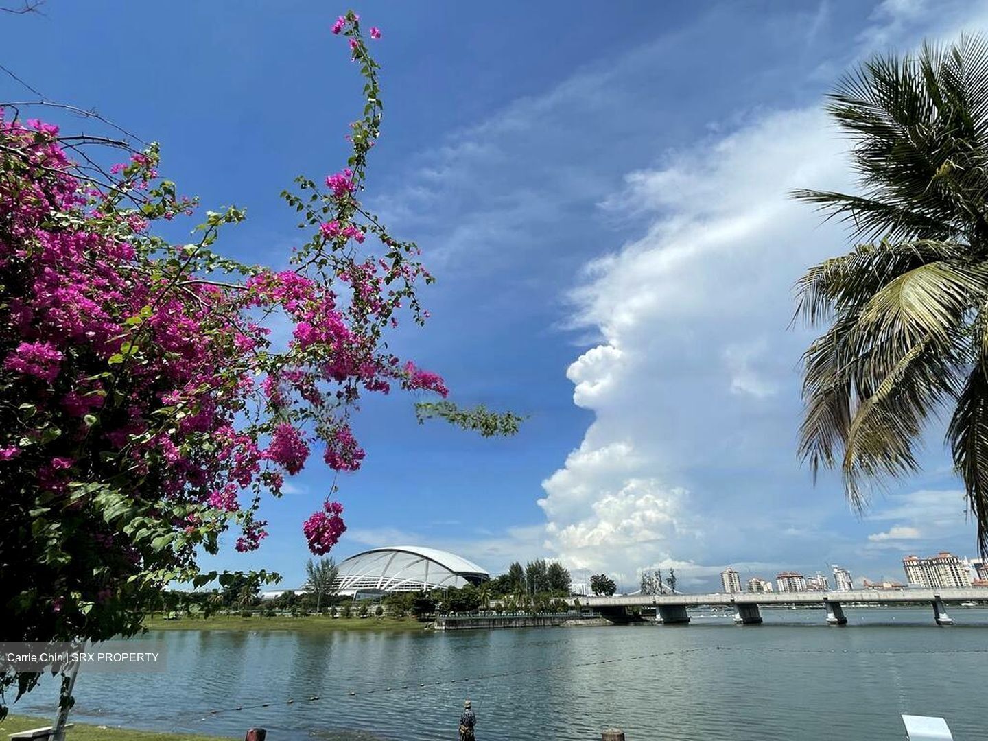 Kallang Riverside (D12), Apartment #483526341